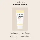 SiNOZ Anti Dark Spot Face Cream 40 ml | With Vitamin C 3% Niacinamide 2% | Also Contains Peptides , Licorice Extracts , Rice Bran Oil