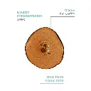 The Purest Solutions Niacinamide 5% + Zinc PCA 1% Intensive Pore Tightening & Lighting Serum - 30ml